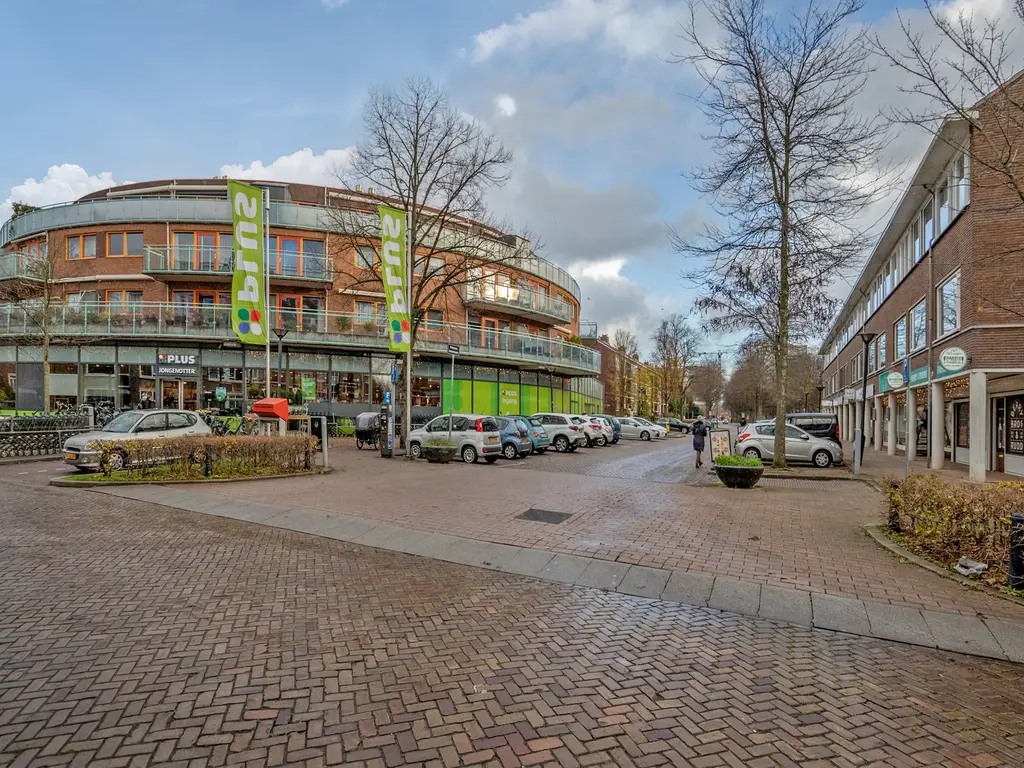 Minister Aalberselaan 124, RIJSWIJK