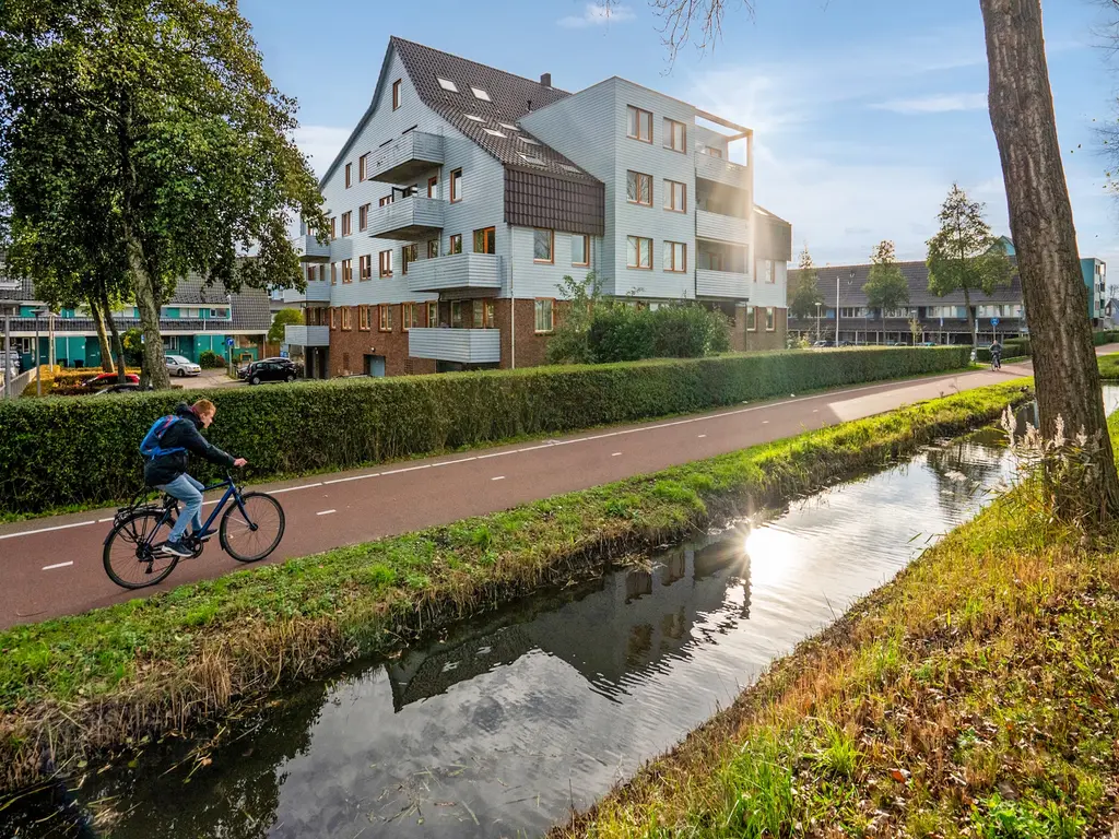 Cypergras 117, 'S-GRAVENHAGE