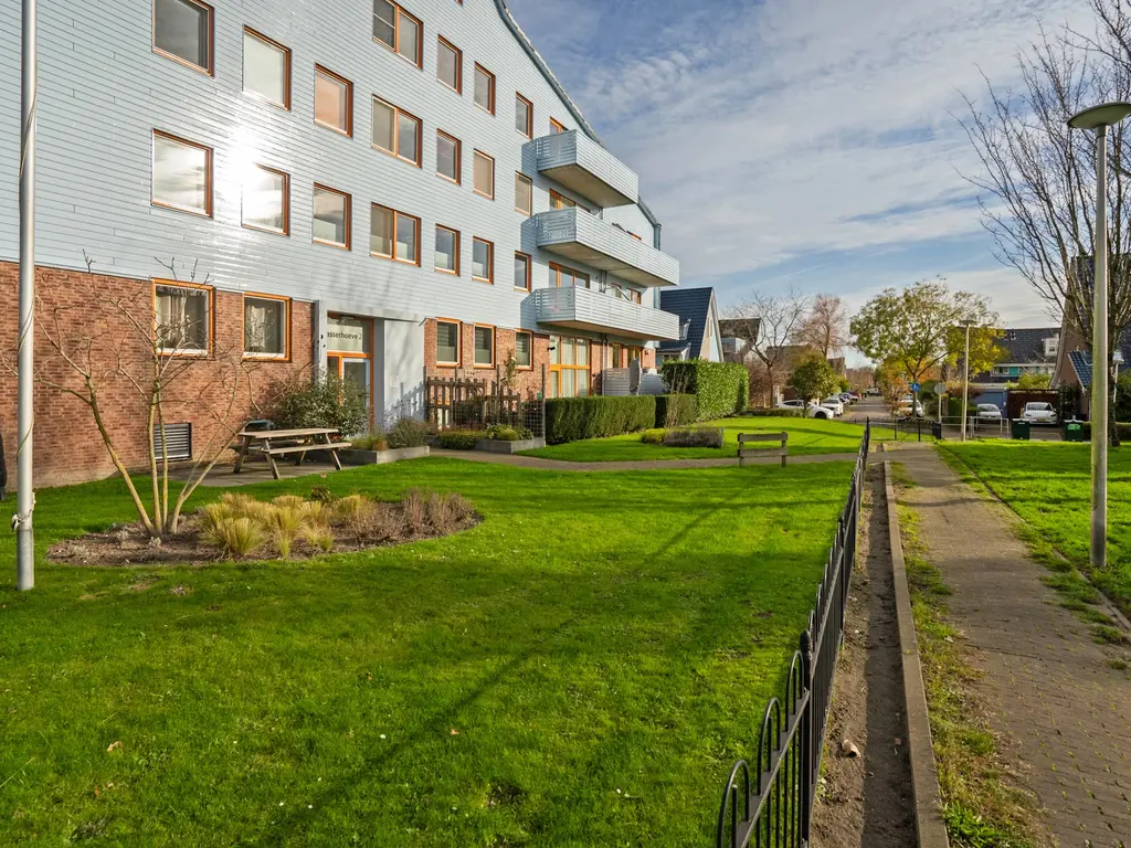 Cypergras 117, 'S-GRAVENHAGE