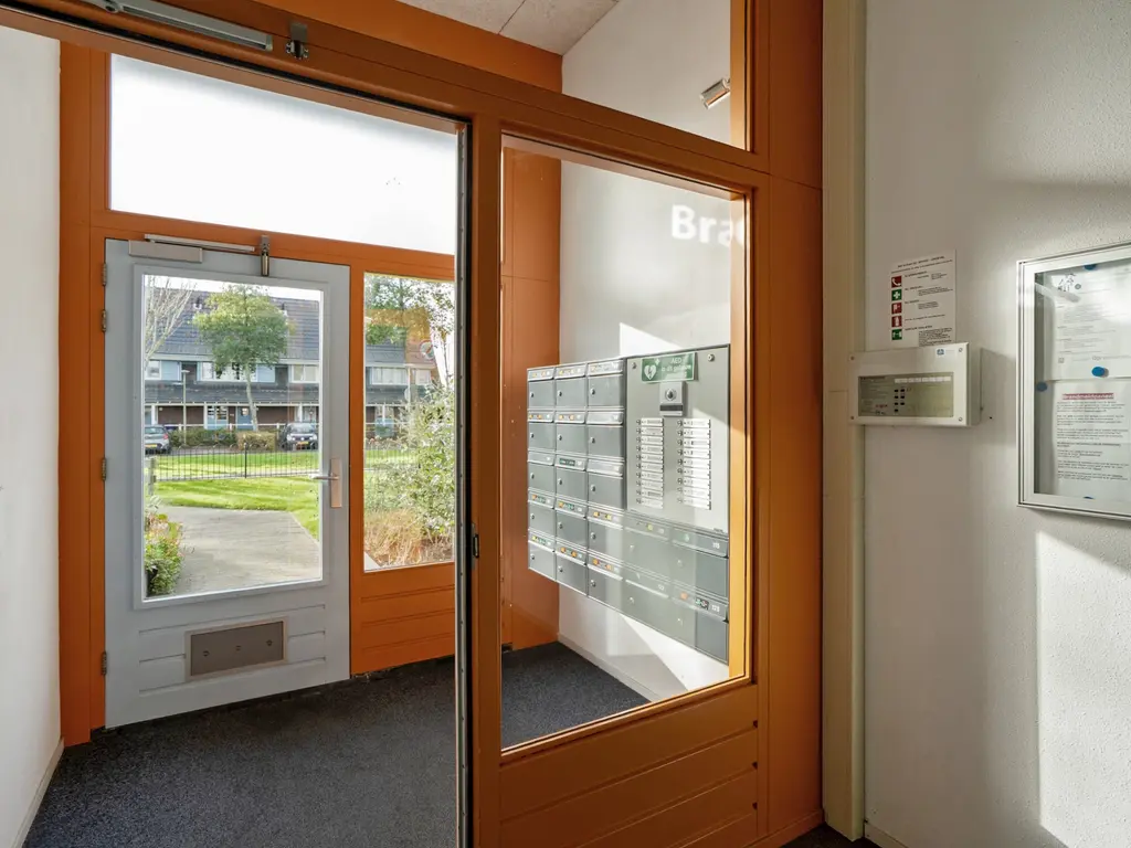 Cypergras 117, 'S-GRAVENHAGE