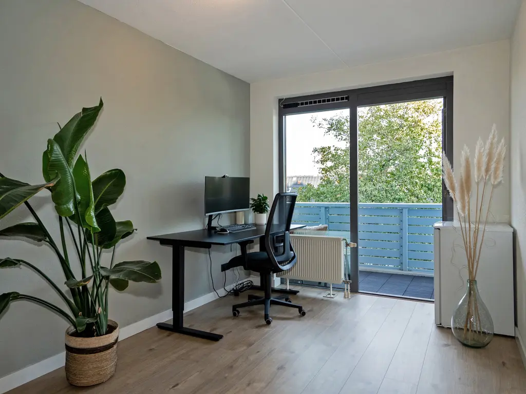 Cypergras 117, 'S-GRAVENHAGE