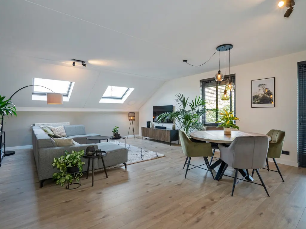 Cypergras 117, 'S-GRAVENHAGE