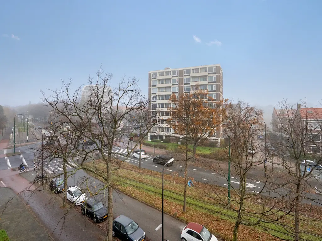 Burgemeester Elsenlaan 18, RIJSWIJK