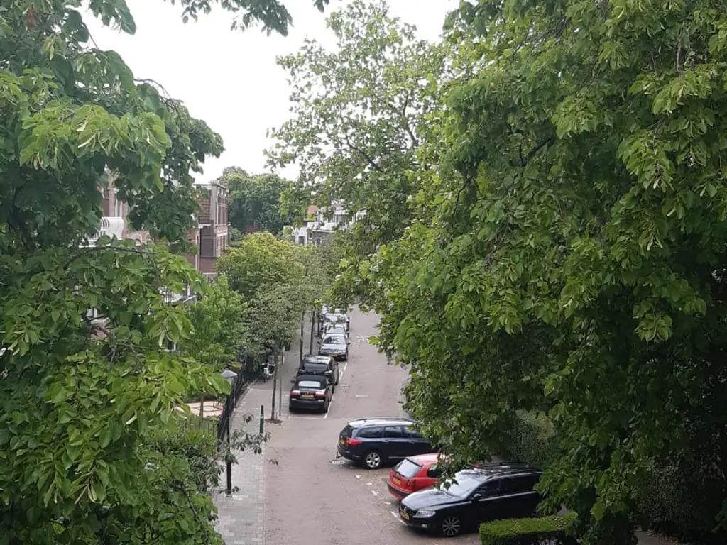 Leeuwendaallaan 15, RIJSWIJK