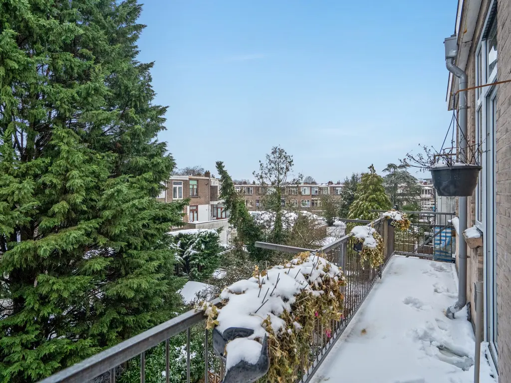 Caan van Necklaan 76, RIJSWIJK