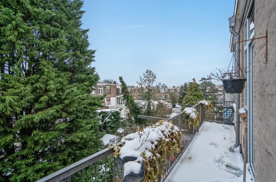 Caan van Necklaan 76