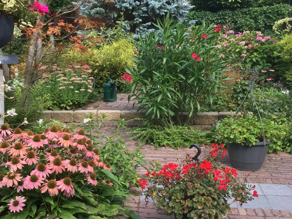 Boswinde 56, 'S-GRAVENHAGE