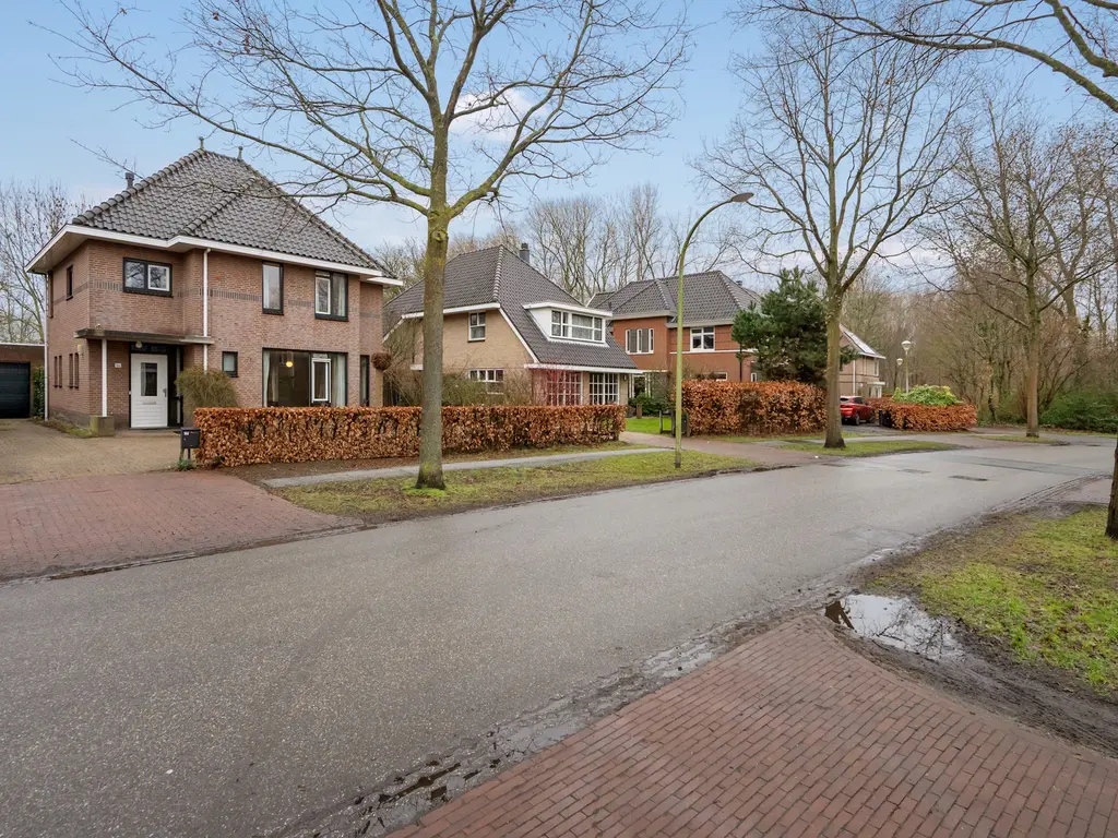 Wingerd 144, 'S-GRAVENHAGE