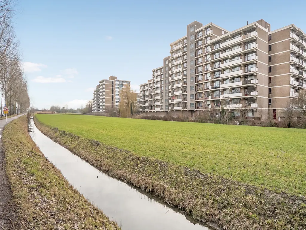 Hammarskjöldlaan 347, RIJSWIJK