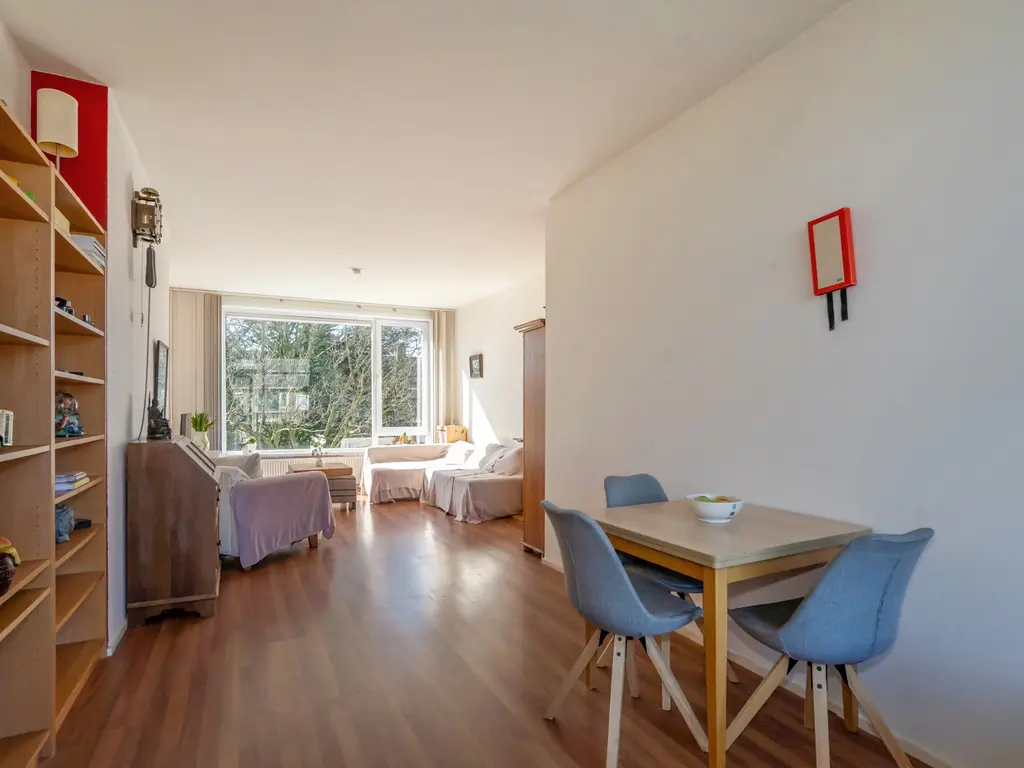 van Stein Callenfelsstraat 25, RIJSWIJK