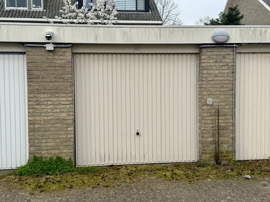 Woodrow Wilsonlaan , RIJSWIJK