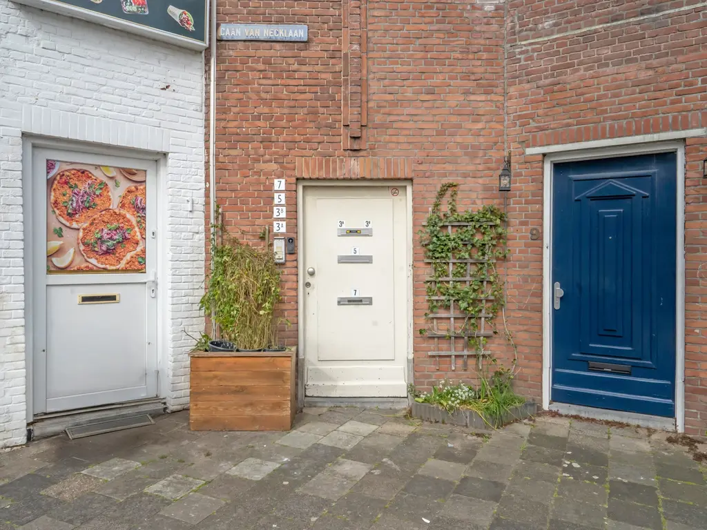 Caan van Necklaan 3b, RIJSWIJK