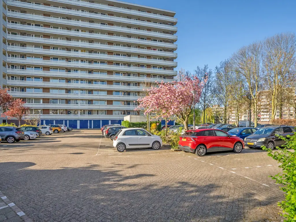 Ocarinalaan 572, RIJSWIJK