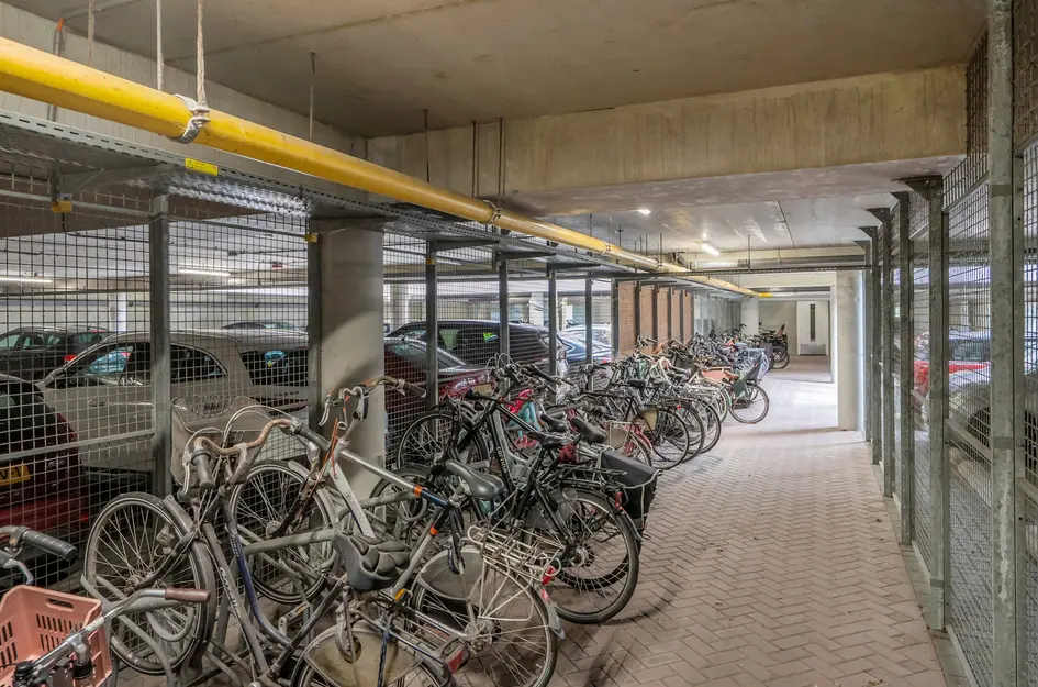 Harriët Freezerhof 25