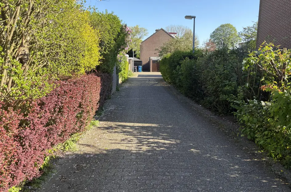 Petronella Voutestraat 