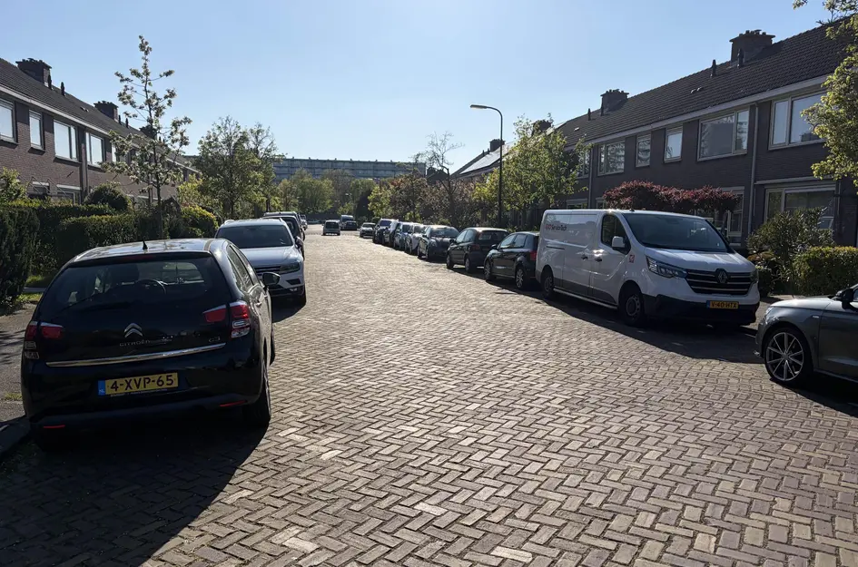 Petronella Voutestraat 