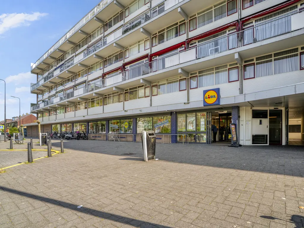 Dr H.J. van Mooklaan 203, RIJSWIJK