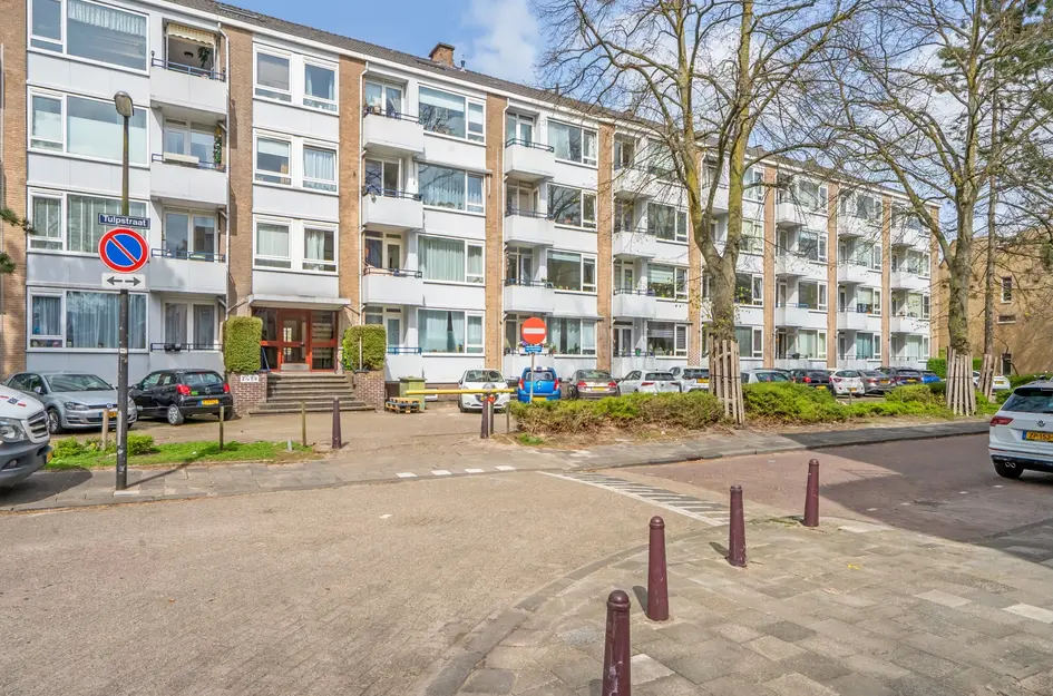 Tulpstraat 7f