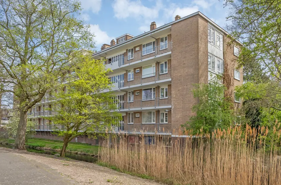 Tulpstraat 7f