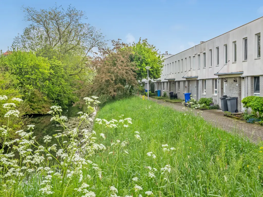 Pelikaansingel 116, Delft