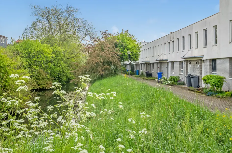 Pelikaansingel 116