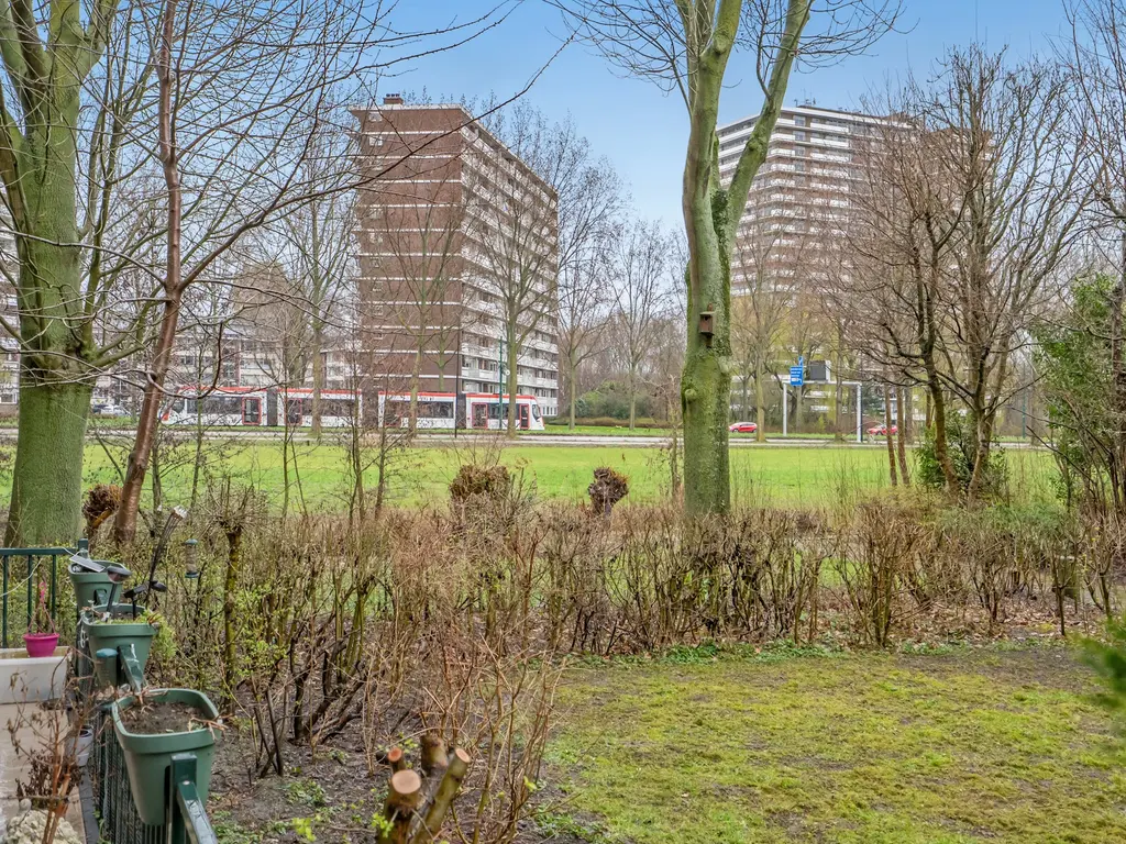 Hammarskjöldlaan 397, RIJSWIJK