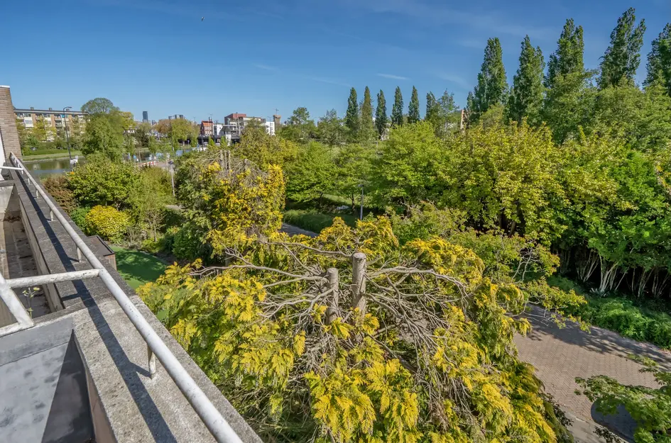 Rotterdamseweg 8