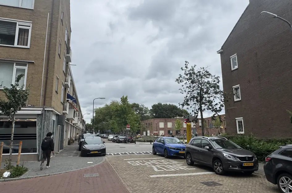 Willem van Rijswijckstraat 