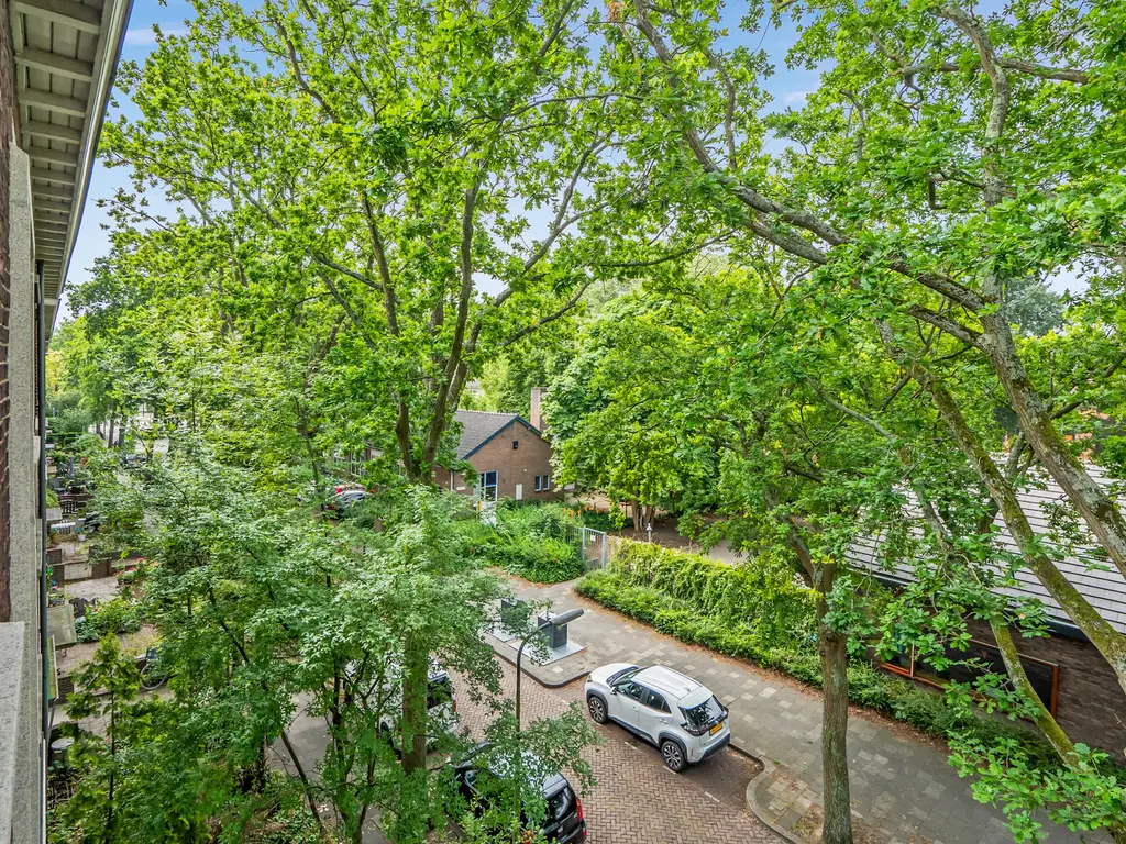Daniël Catterwijckstraat 17, RIJSWIJK