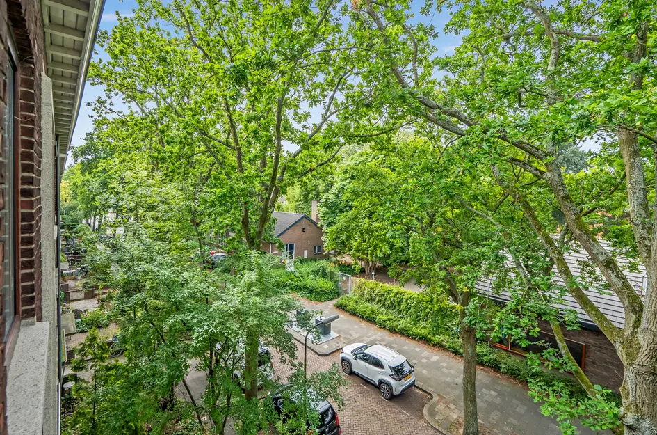 Daniël Catterwijckstraat 17