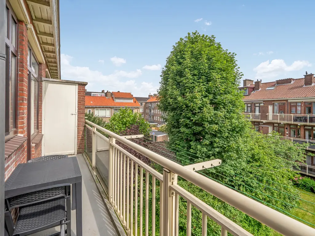 Daniël Catterwijckstraat 17, RIJSWIJK