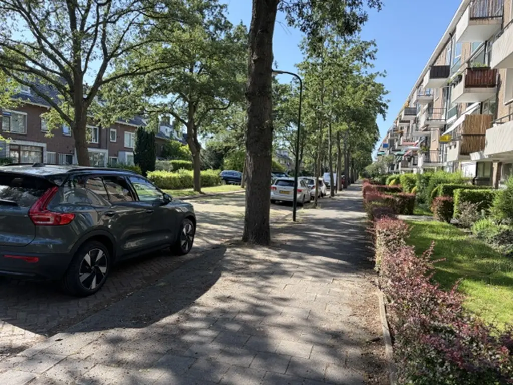 Dr Augustijnlaan , RIJSWIJK
