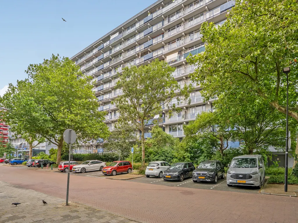 Ds van den Boschlaan 11, RIJSWIJK