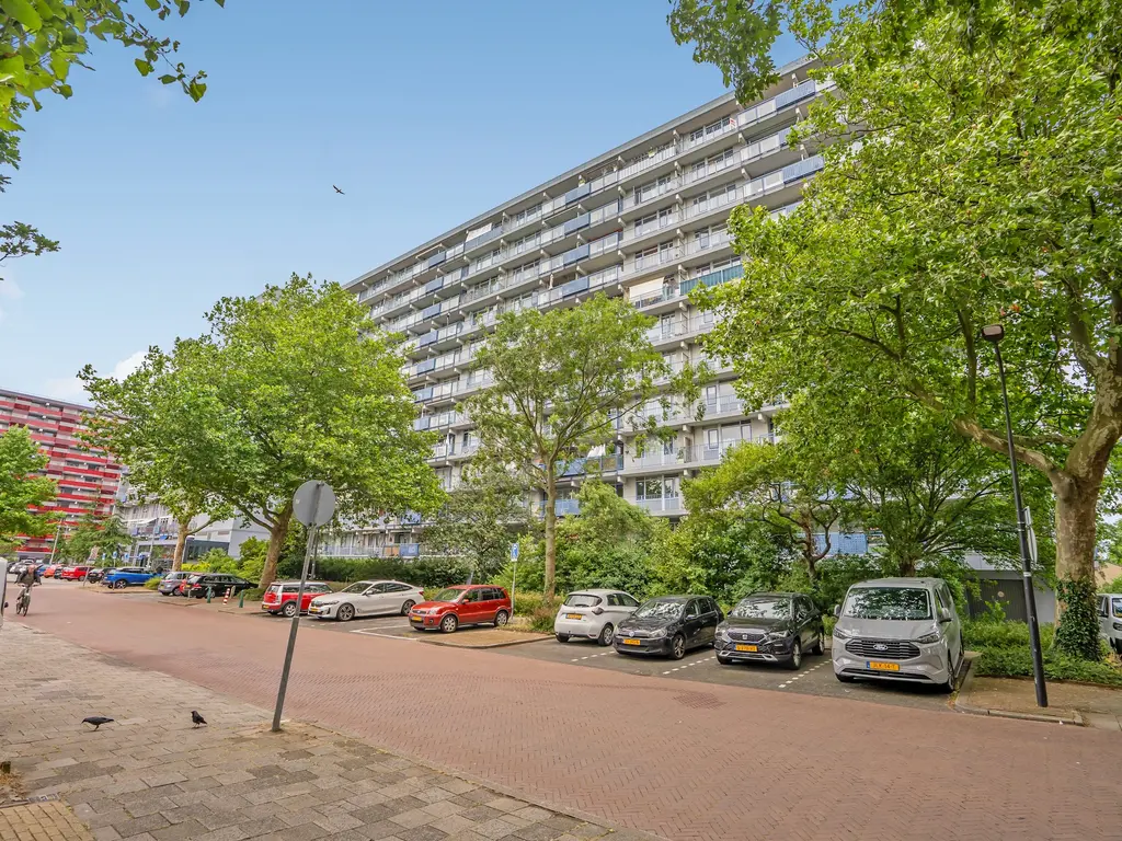 Ds van den Boschlaan 11, RIJSWIJK