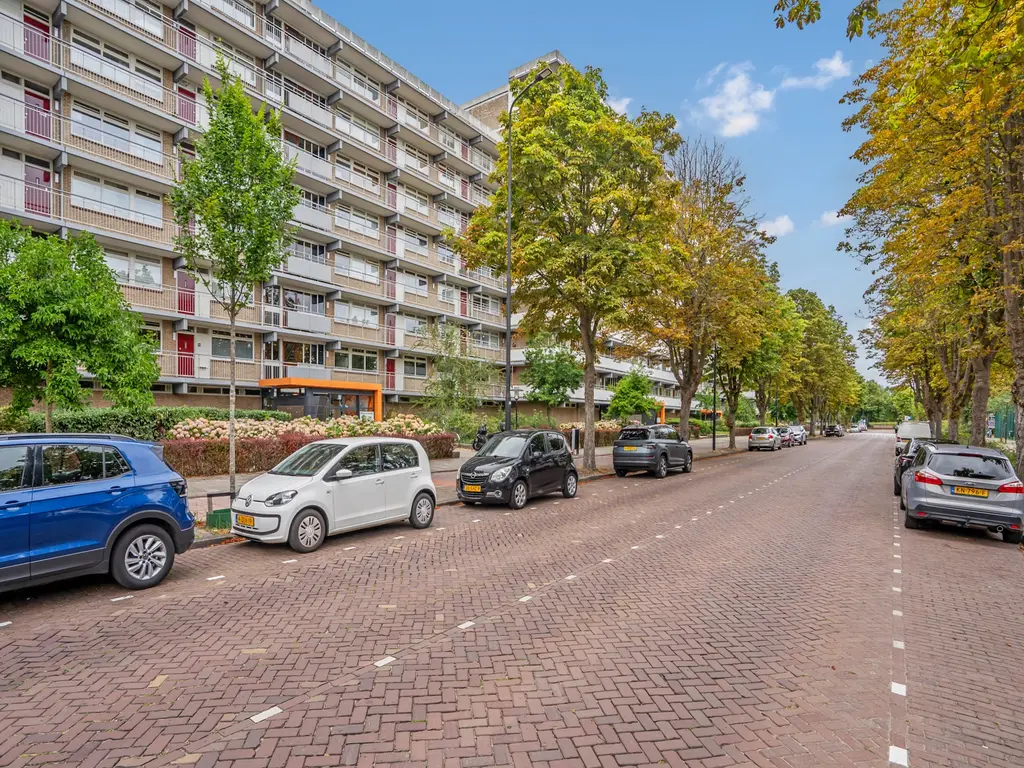 Steenvoordelaan 248, RIJSWIJK