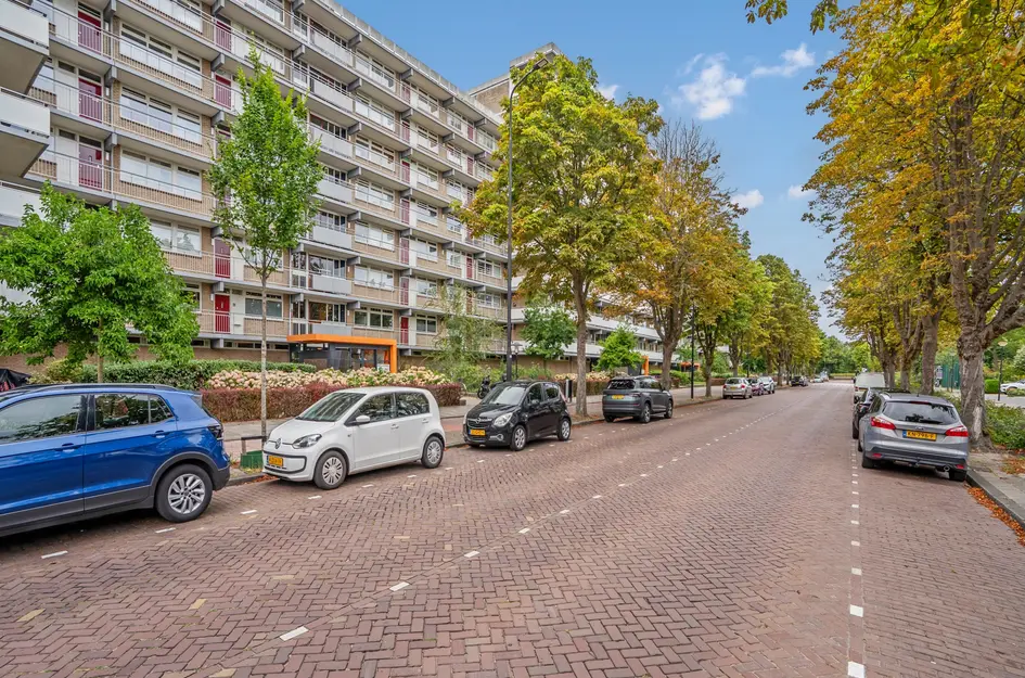 Steenvoordelaan 248