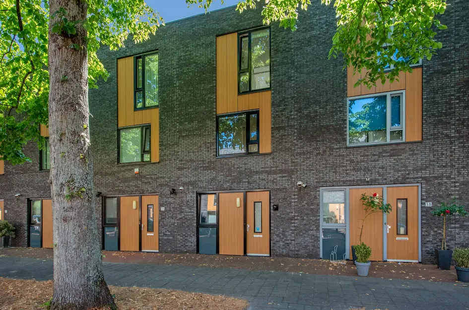 Windesheimstraat 36