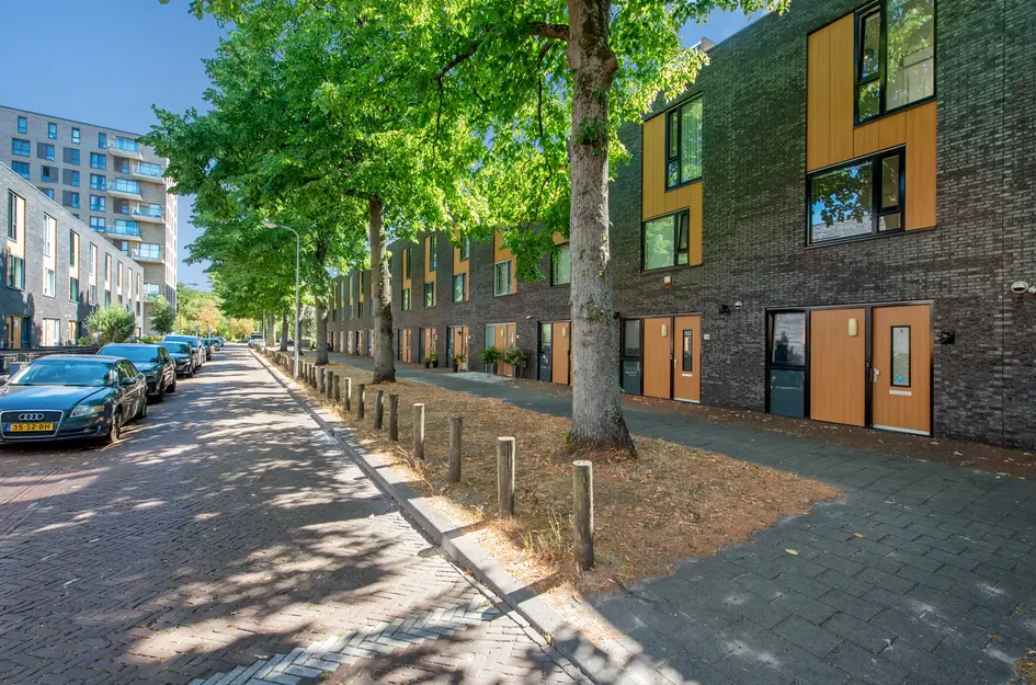 Windesheimstraat 36