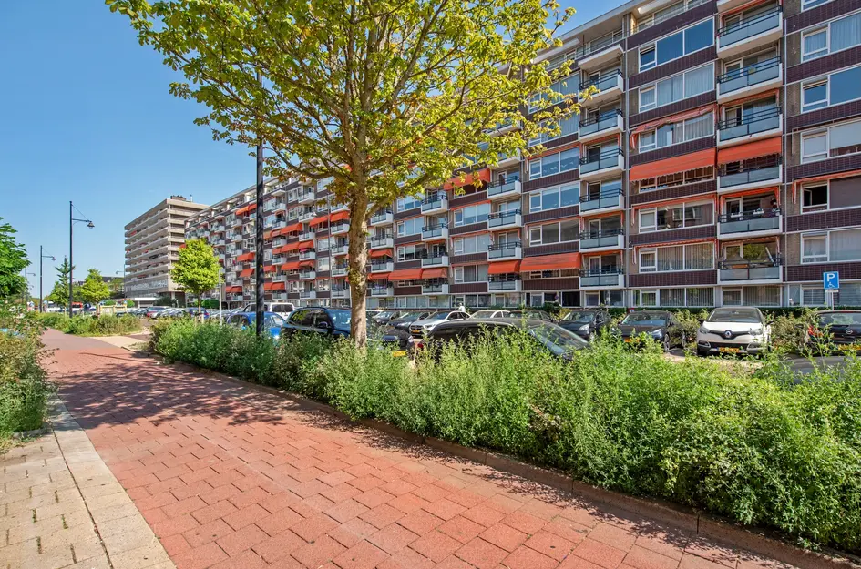 Steenvoordelaan 327