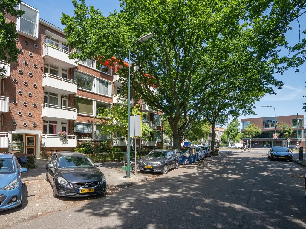 Karel Doormanlaan 22, RIJSWIJK