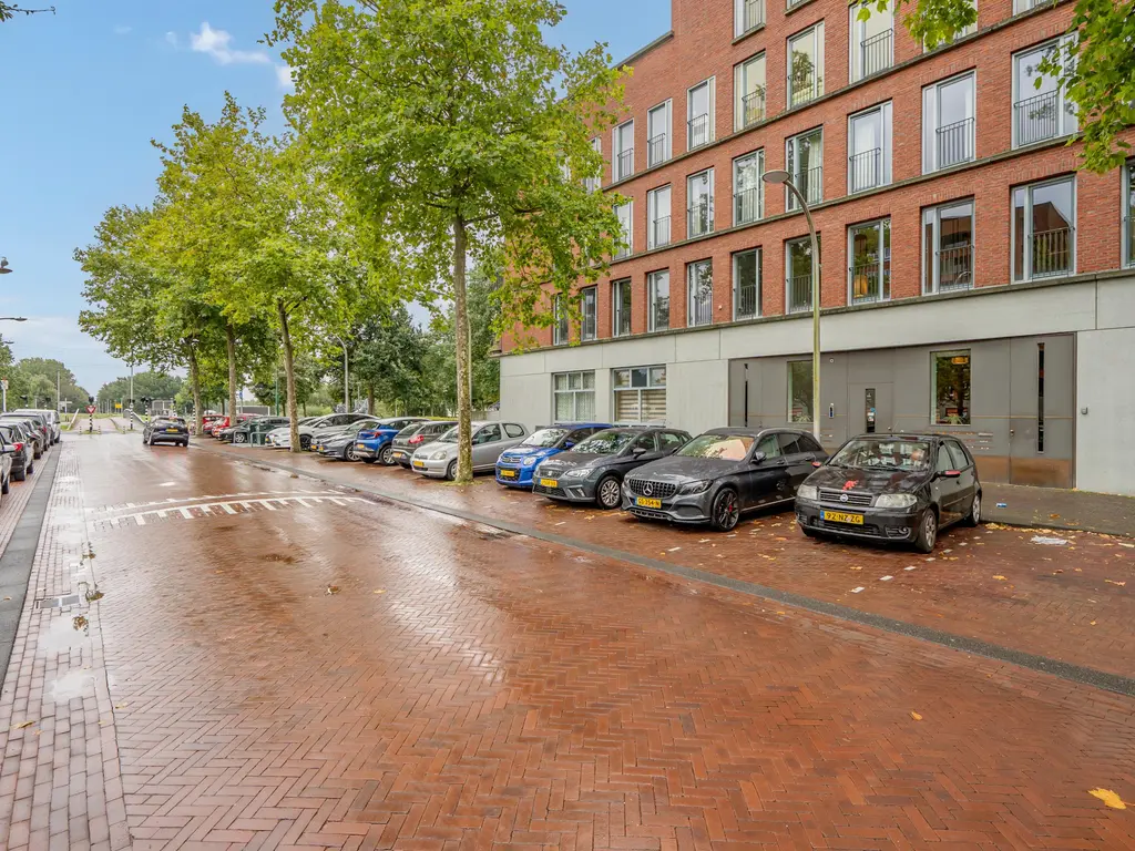 Steentijdsingel 133, 's-Gravenhage