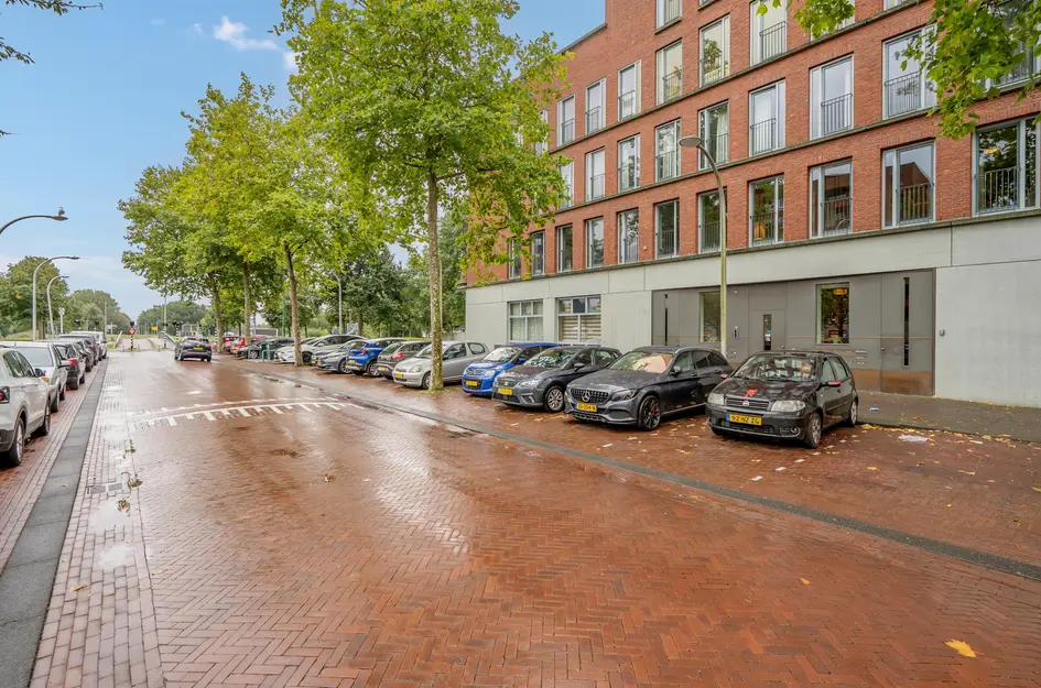 Steentijdsingel 133