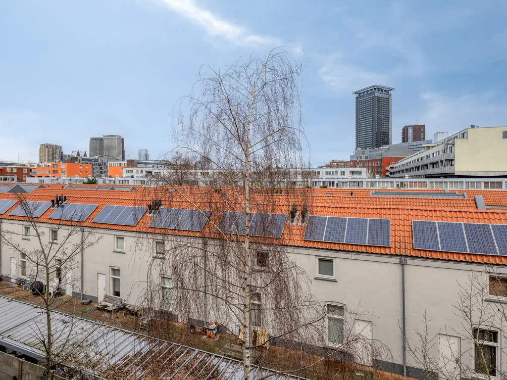 Wolterbeekstraat 50, 'S-GRAVENHAGE