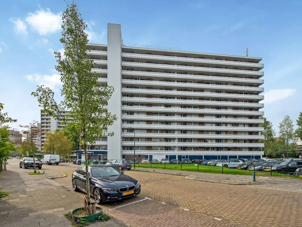 Ocarinalaan 136, RIJSWIJK