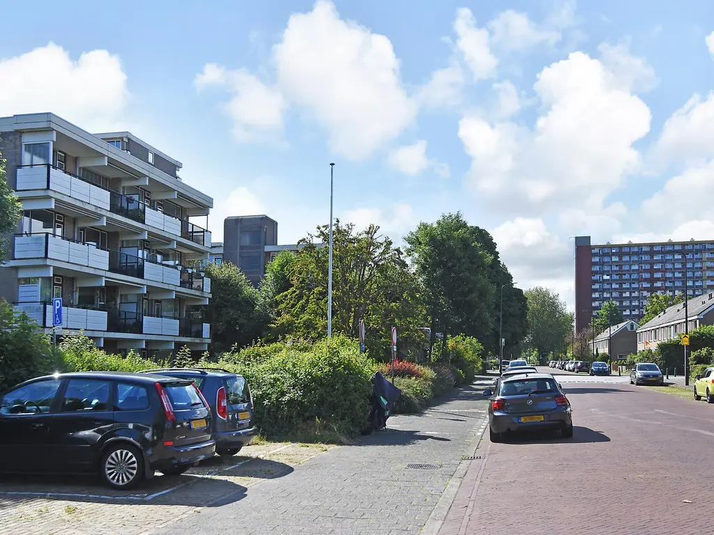 Hammarskjoldlaan 455, RIJSWIJK