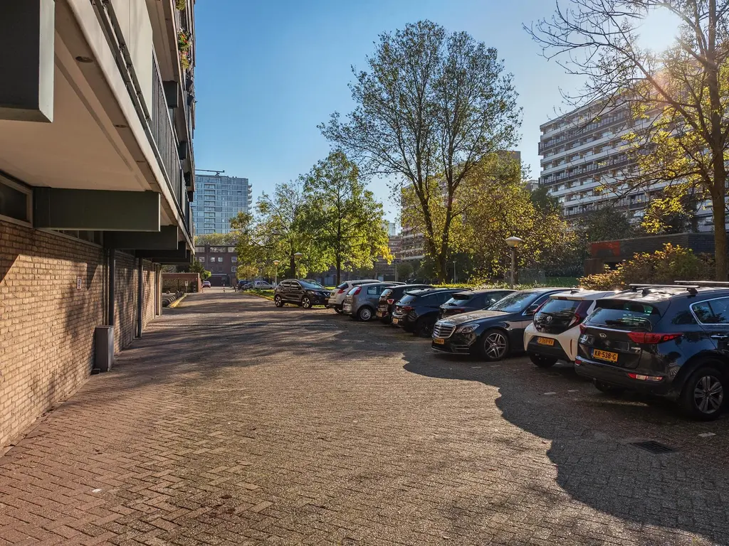 Steenvoordelaan 168, RIJSWIJK