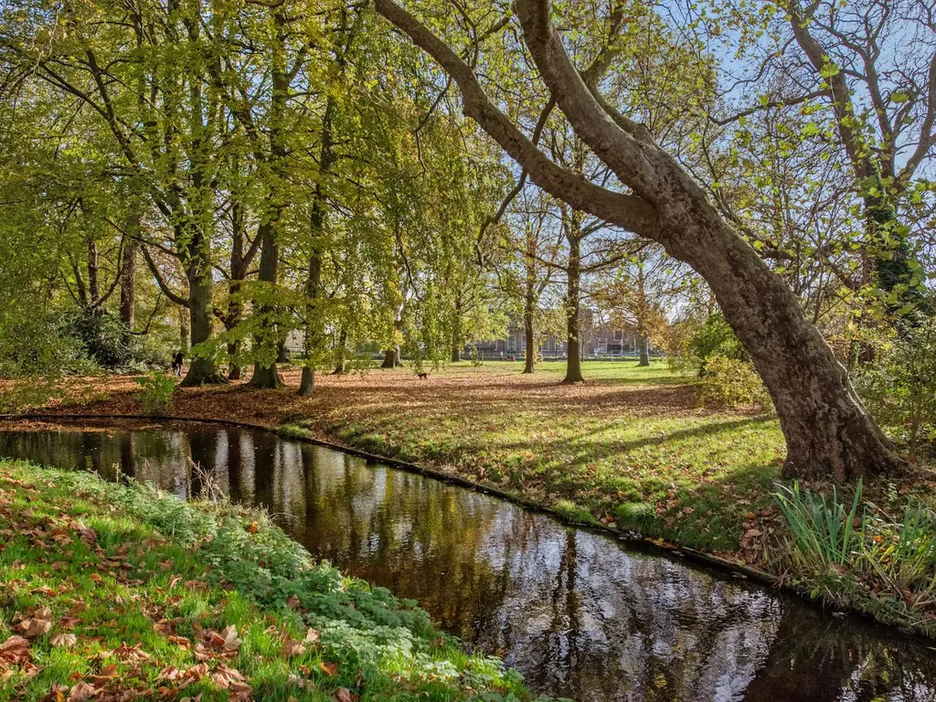 Nassaukade 81, RIJSWIJK