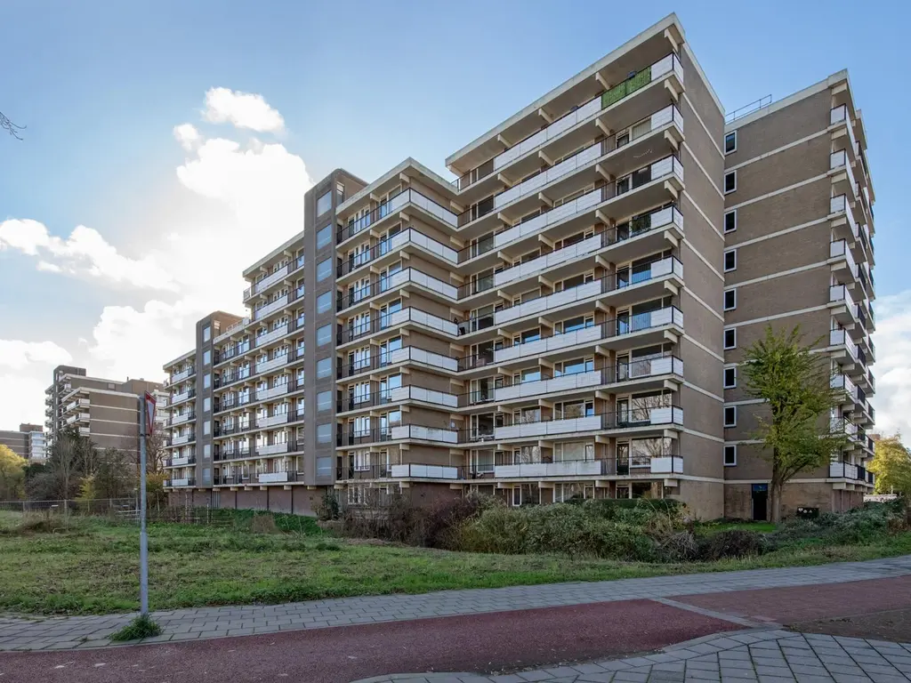 Hammarskjoldlaan 67, RIJSWIJK