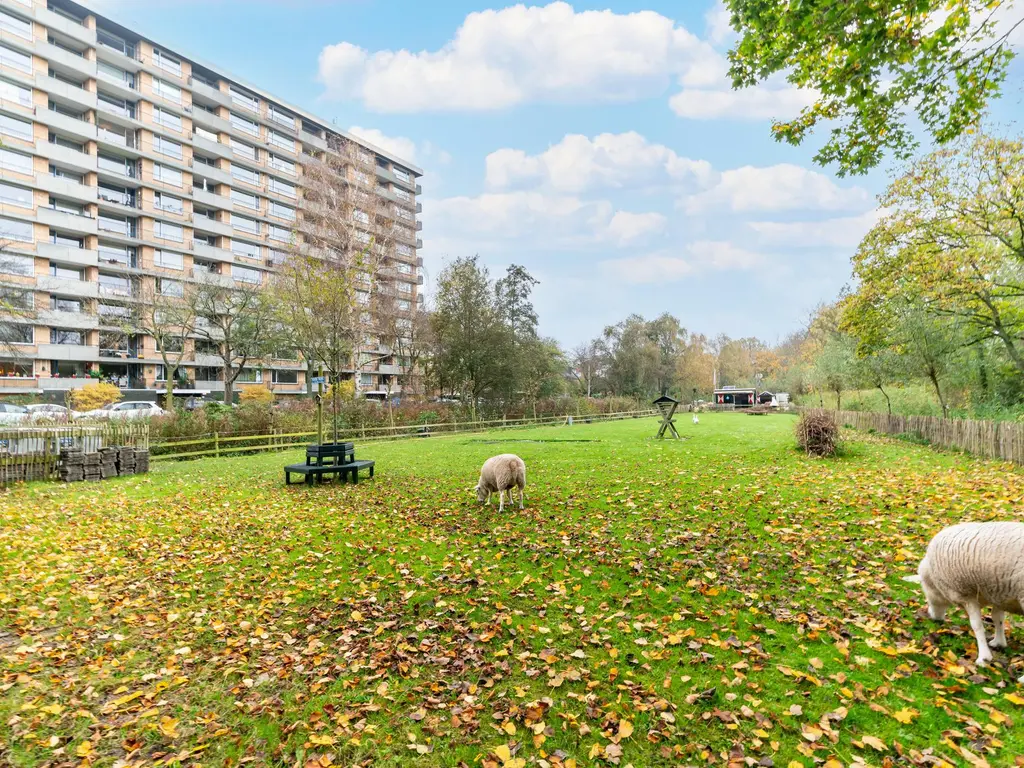 John F. Kennedylaan 145, RIJSWIJK