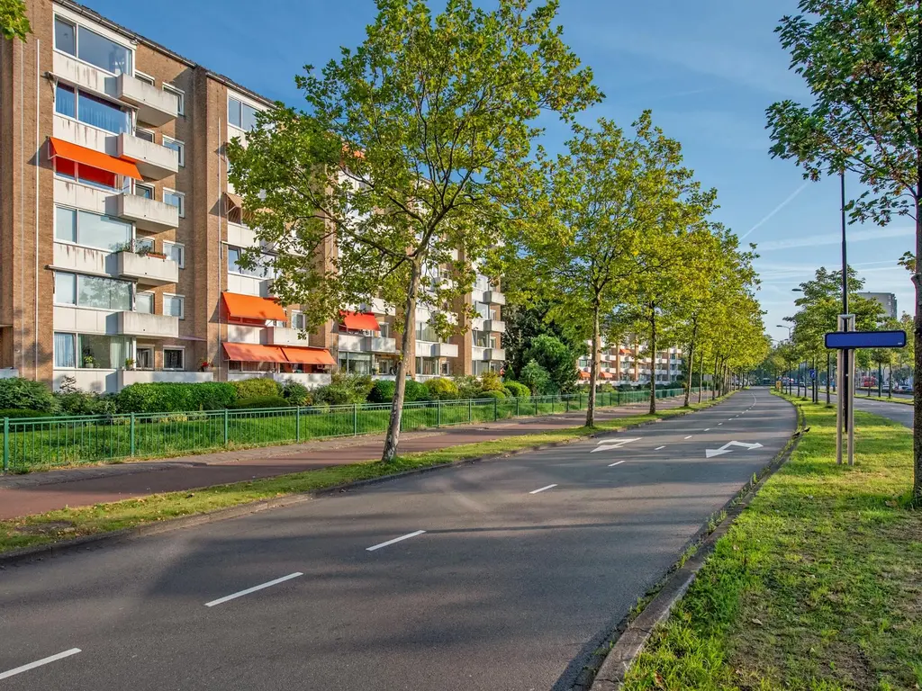 Buziaulaan 65, RIJSWIJK